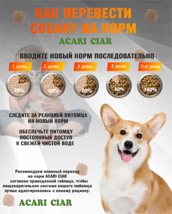 Acari Ciar Regular Говядина, 3.5 кг 