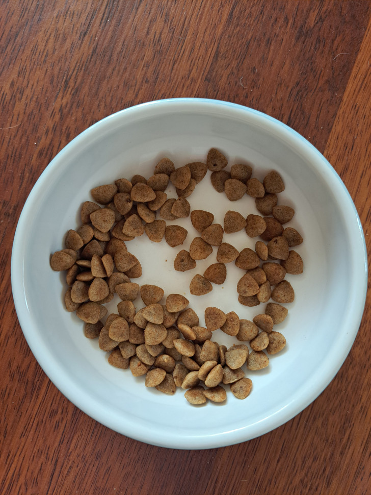Deluxe dog food best sale