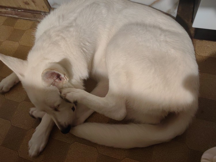 Нам 8 месяцев 🤩🥰❤️❤️