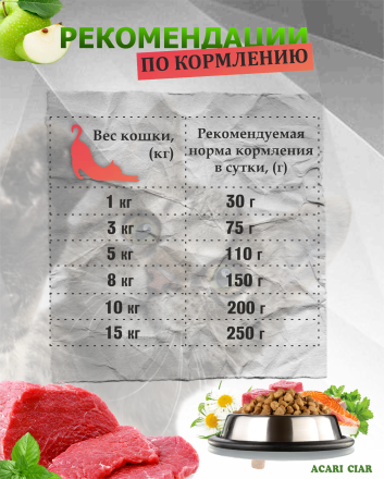 Acari Ciar A CAT Maine Coon Beef (телятина) 4 kg 