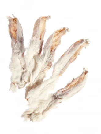 Ухо кролика Гигант 